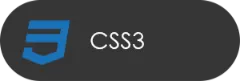 CSS3